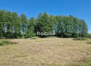 Wałdowo Królewskie 325 000 zł 31.44 ar miniaturka 8