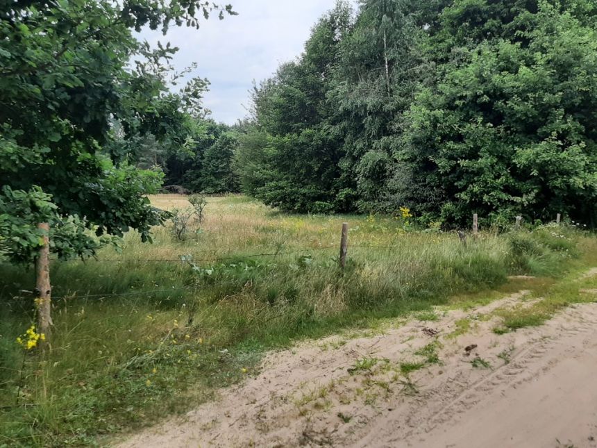 Działka o pow. 25 000 m² pod zabudowę i rekreację. miniaturka 7