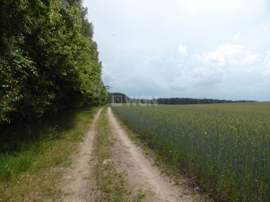 Przerwanki, 140 000 zł, 40 ar, bez nasadzeń miniaturka 9