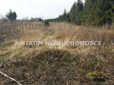 Szeligi, 220 000 zł, 2.02 ha, przyłącze elektryczne