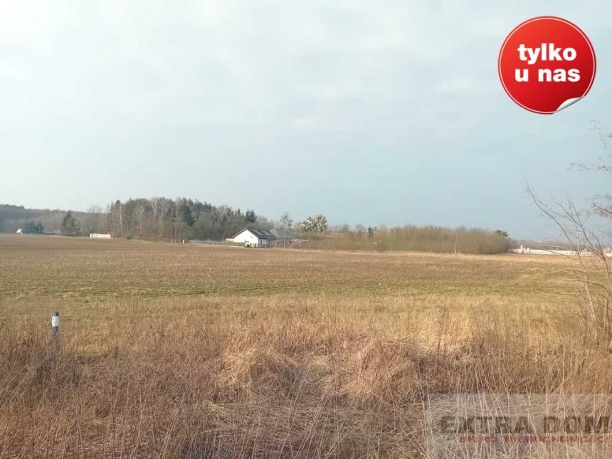 Goleniów, 272 000 zł, 17 ar, droga dojazdowa asfaltowa miniaturka 3