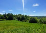 Czaszyn, 110 000 zł, 38.32 ar, przyłącze gazu do 100m miniaturka 7