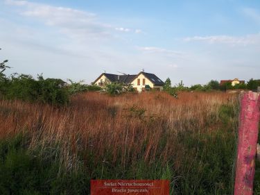 Krzyki - atrakcyjna, cicha okolica