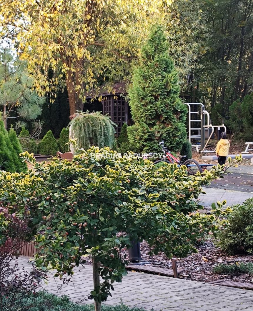 PRZESTRONNE, SŁONECZNE 2-POKOJOWE Z BALKONEM miniaturka 18
