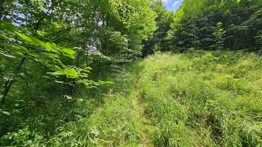 Działka budowlana nad strumykiem pod lasem miniaturka 13