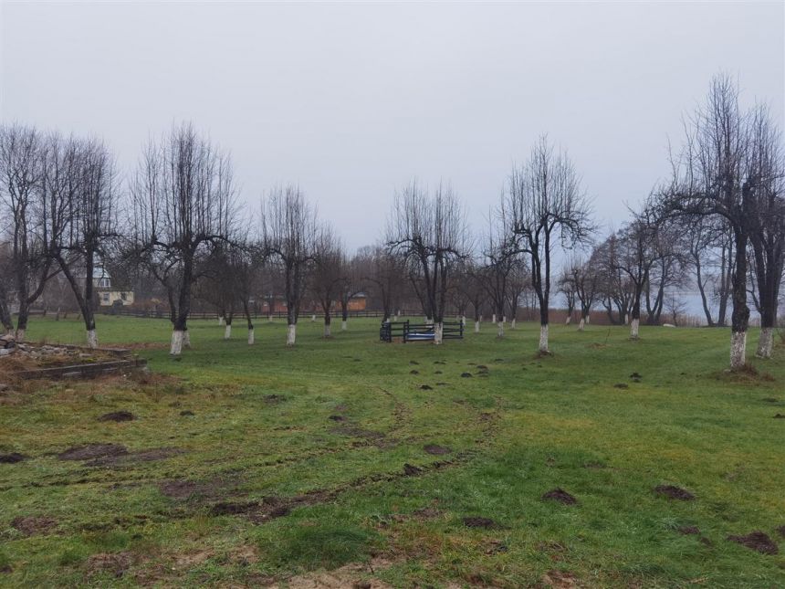 Dom wolnostojący - Salino miniaturka 14