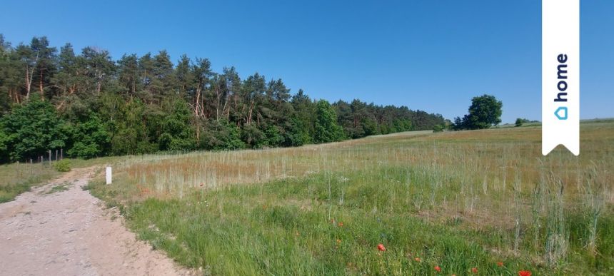 Działka - Nowy Witoszyn - przy Lesie miniaturka 2