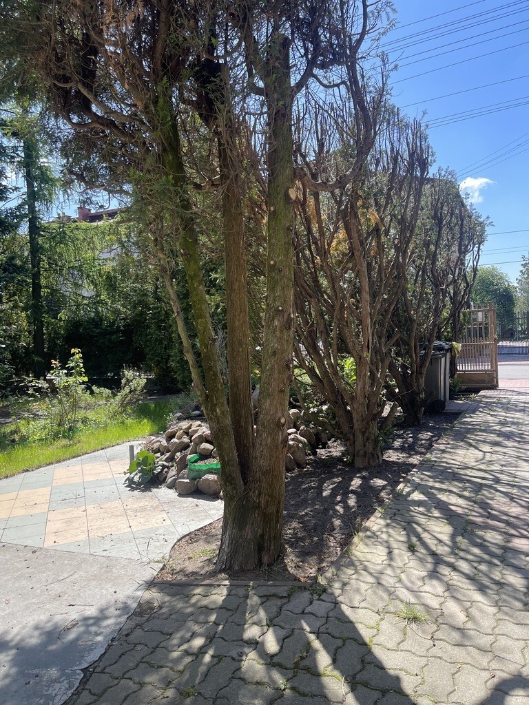 Dom o pow. 144 m² + dodatkowe mieszkanie. miniaturka 4