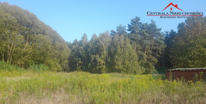 Działka budowlana w Brzeźnie 1200m2 miniaturka 4