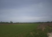 Koczargi Stare, 701 690 zł, 63.79 ar, prostokątna miniaturka 4