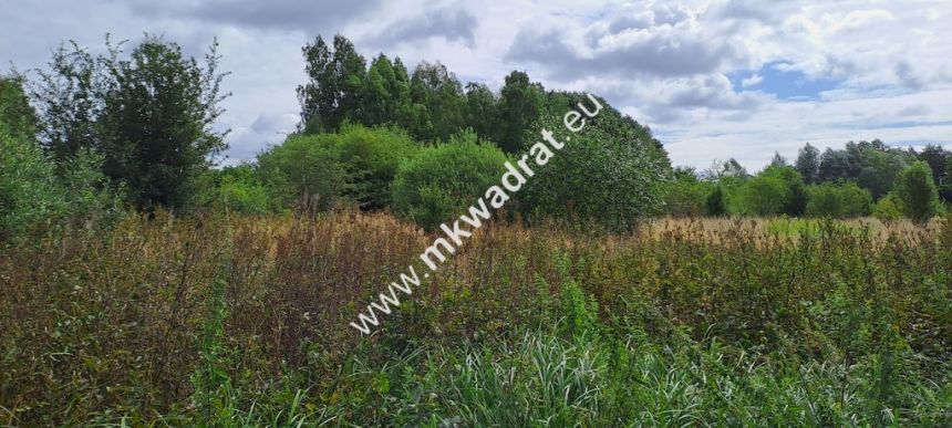 Działka budowlana, Stara Wieś, 3500 m2. MPZP miniaturka 2