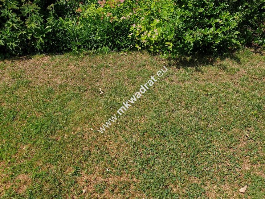 Ciekawa oferta dla developera miniaturka 2