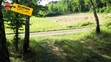 Odrzykoń 215 000 zł 37.56 ar