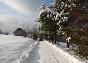 Piątkowa, 163 000 zł, 13 ar, budowlana miniaturka 4