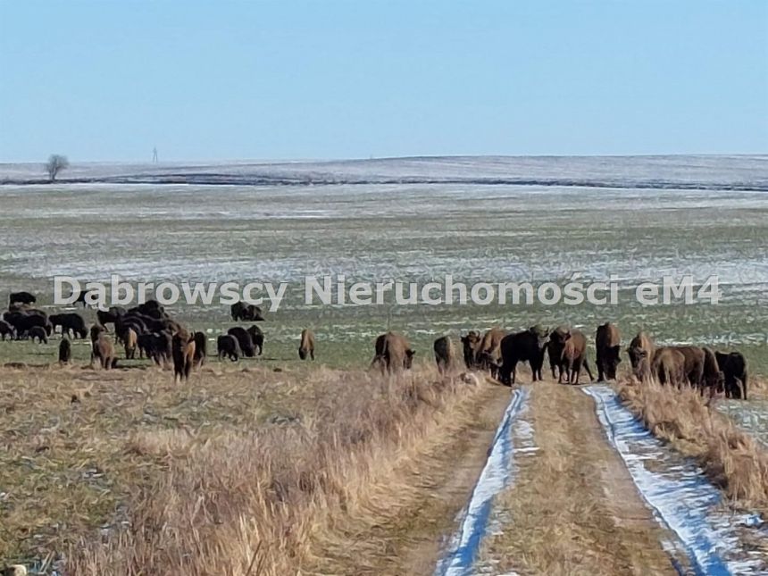 Harkawicze, 79 000 zł, 14 ar, woda w drodze miniaturka 7