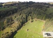 Grudza, 420 000 zł, 60 ar, w kształcie trapezu miniaturka 6