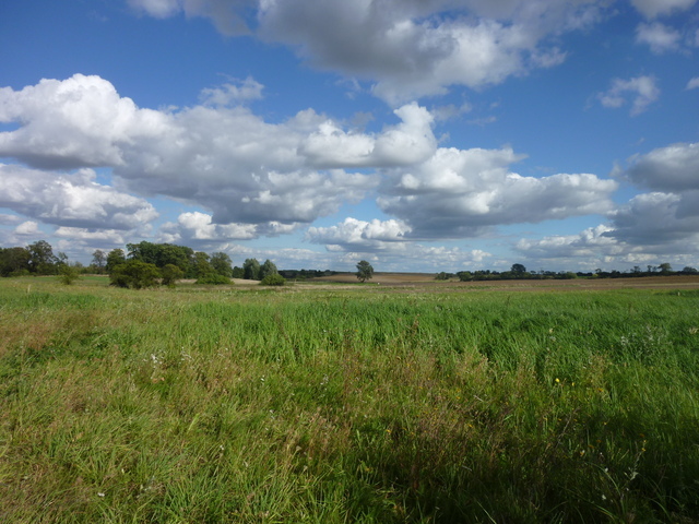 Czarnowo, 230 000 zł, 1.06 ha, o nieregularnym kształcie - zdjęcie 1