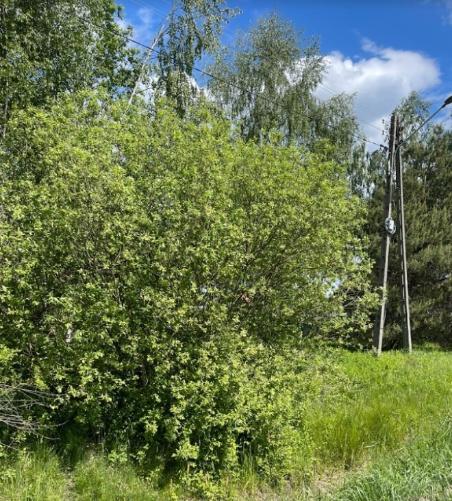 Na sprzedaż działka w Radzyminie – 2000 m² miniaturka 2