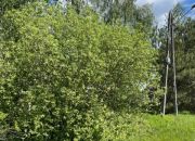 Na sprzedaż działka w Radzyminie – 2000 m² miniaturka 2