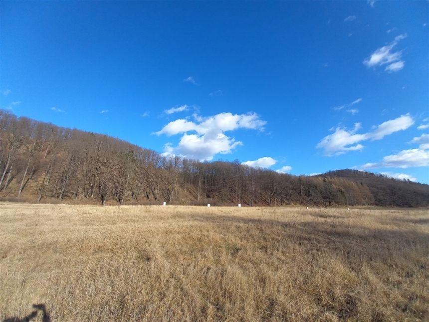 Chwaliszów, 155 000 zł, 20.73 ar, płaska miniaturka 6