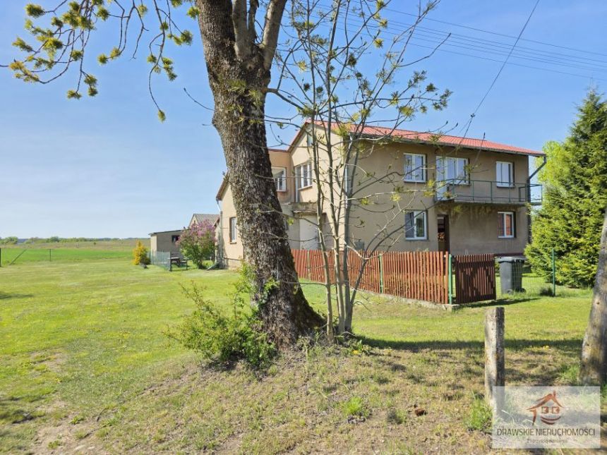Żabin, 428 000 zł, 218.4 m2, wolnostojący miniaturka 2