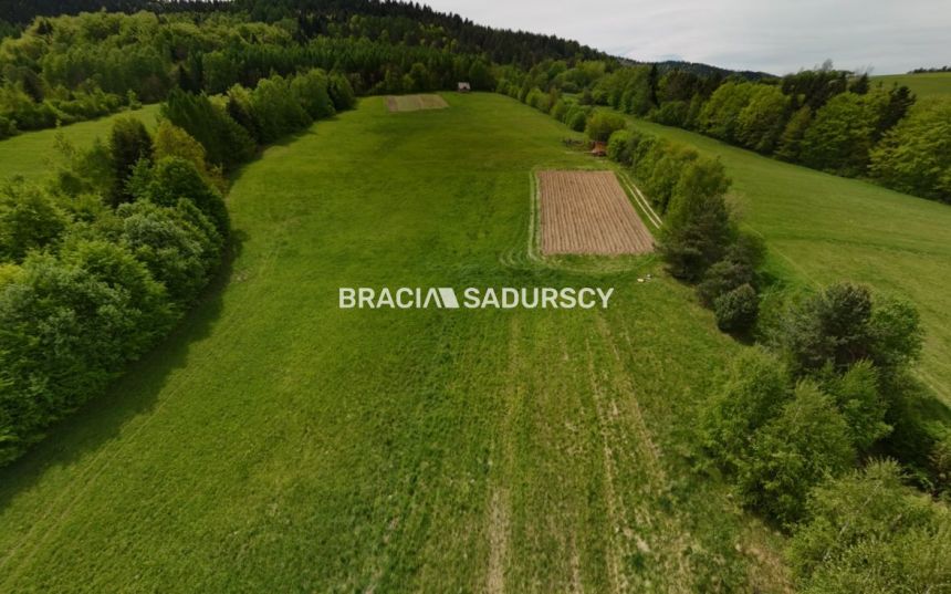Działka inwestycyjna na sprzedaż, 1.8 ha miniaturka 3