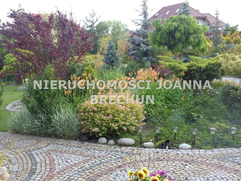 Wilkszyn, 2 399 000 zł, 377 m2, ogrzewanie piecem dwufunkcyjnym miniaturka 18