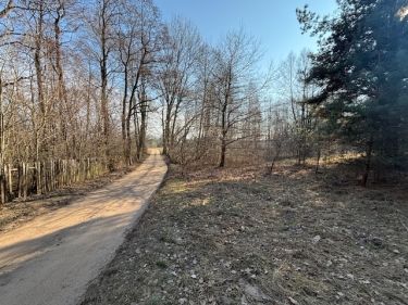 Działki budowlane w lesie 25 km od Warszawy