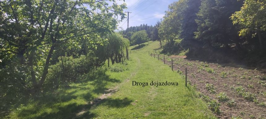 Działka budowlana- Tropie- Gródek nad Dunajcem miniaturka 12