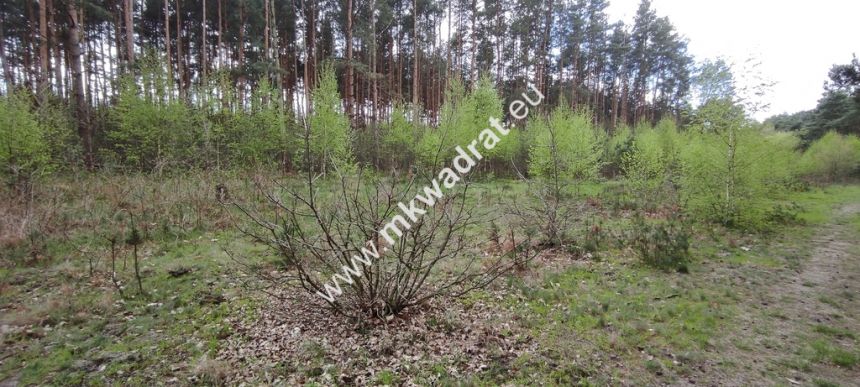 Piękna działka otoczona lasem 2 316 m2, Czarny las miniaturka 11