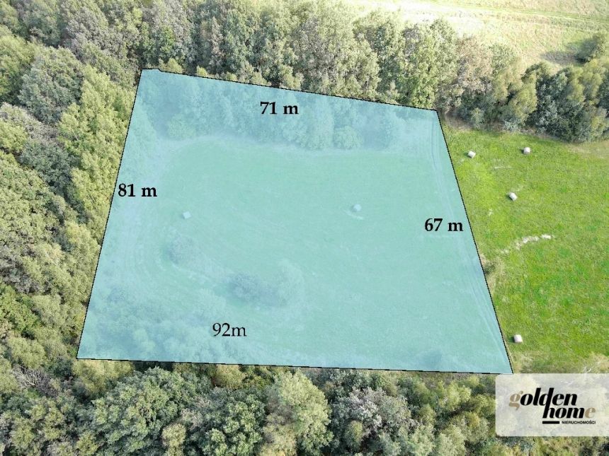 Grudza, 420 000 zł, 60 ar, w kształcie trapezu miniaturka 7