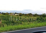 Szczecin Wielgowo, 1 182 000 zł, 58.91 ar, płaska miniaturka 4