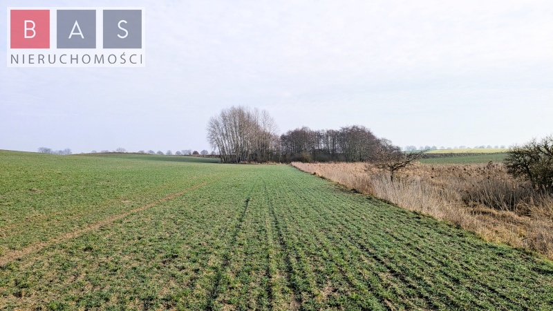 Zamęcin, 89 000 zł, 2.2 ha, rolna miniaturka 3