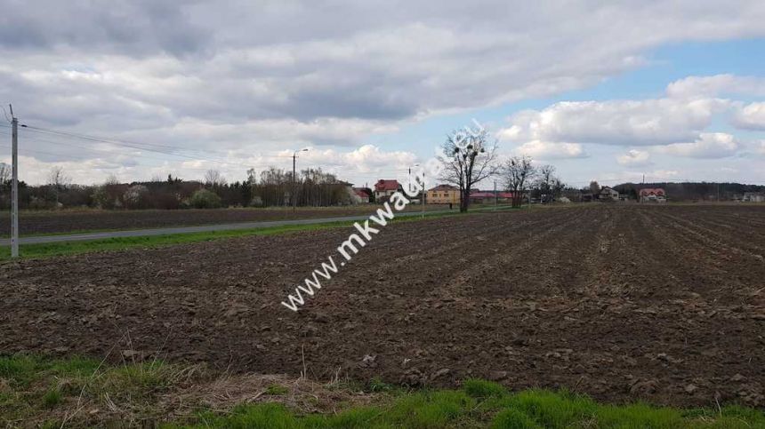 Okazja Działki Leszno k/Błonia miniaturka 4