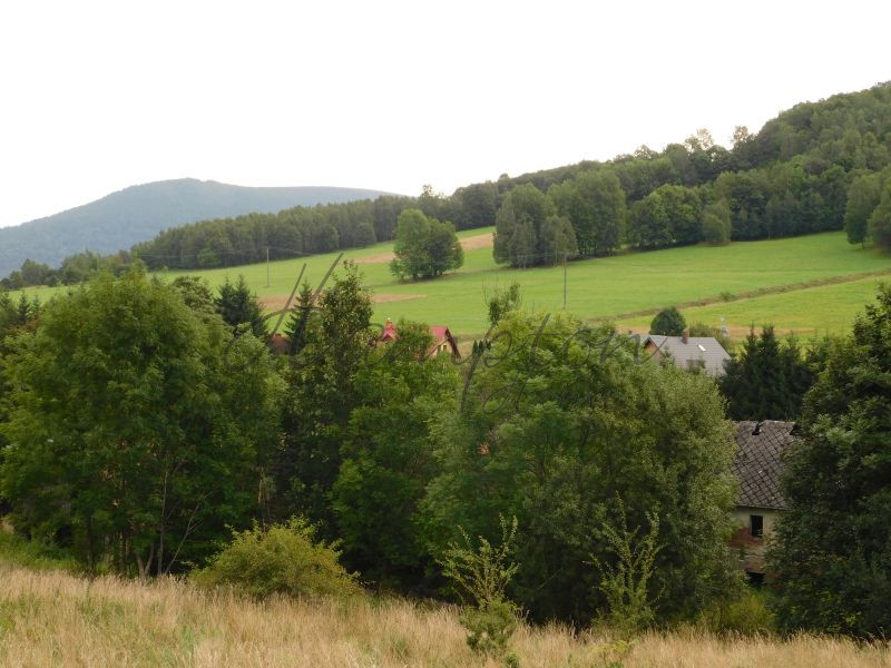 Stronie Śląskie, 1 354 168 zł, 2.3 ha, inwestycyjna miniaturka 7