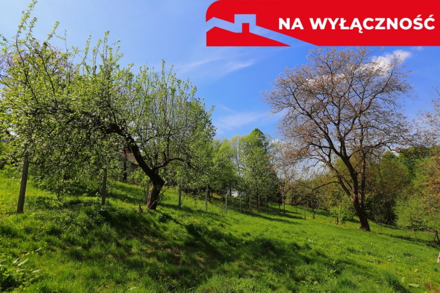 Działka rolno-budowlana z lasem miniaturka 10
