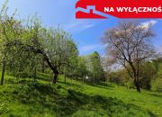 Działka rolno-budowlana z lasem miniaturka 10