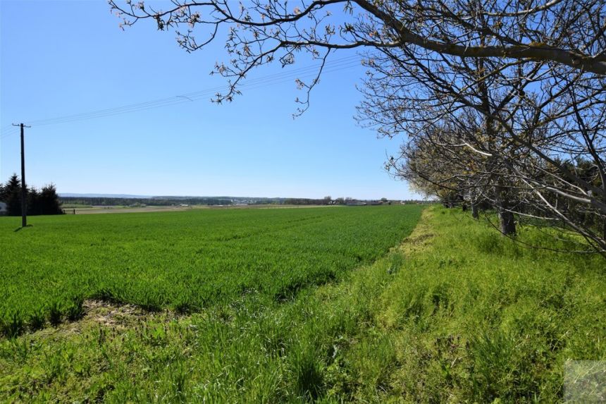 Piekna działka na sprzedaż Widna Góra miniaturka 3