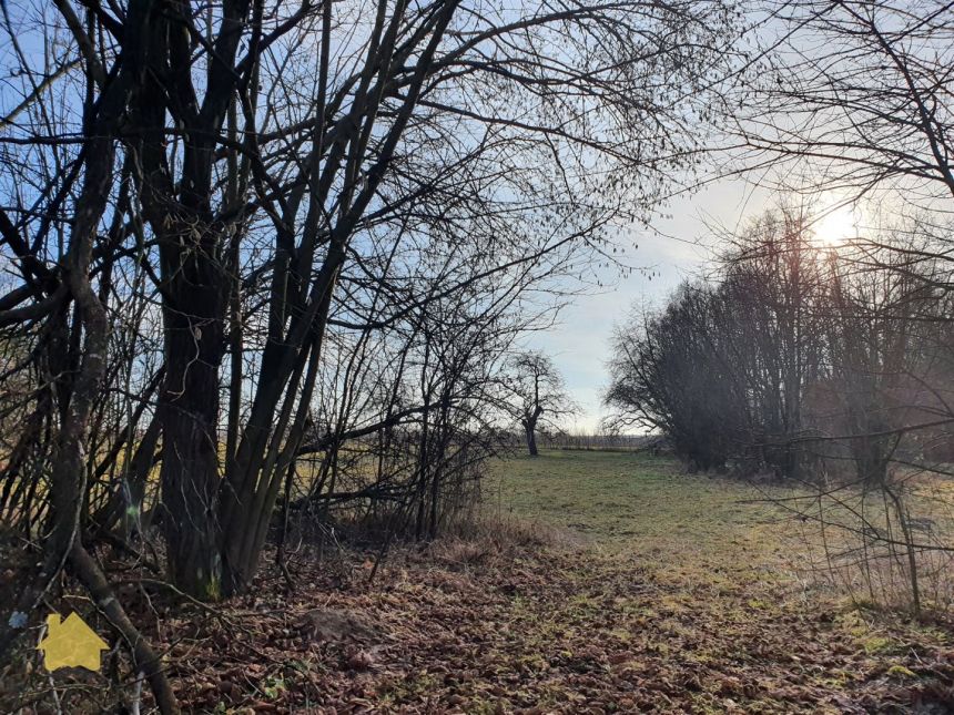 Do sprzedania siedlisko, pow.1ha, 35 km od Lublina miniaturka 12