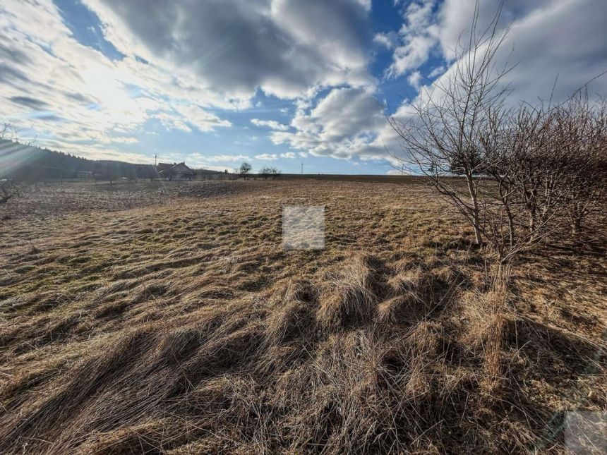 Dom z dużą działką | 1,39 ha | miniaturka 14
