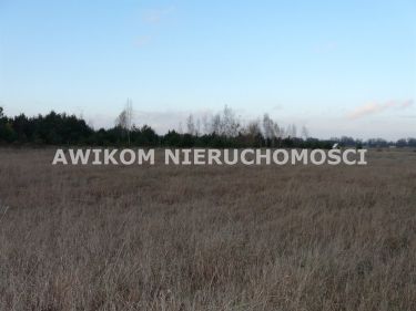 Sierakowice Lewe, 300 000 zł, 1.12 ha, woda w drodze