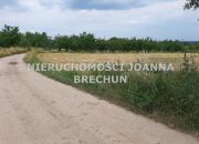 Strzegomiany, 404 000 zł, 80.8 ar, budowlana miniaturka 6