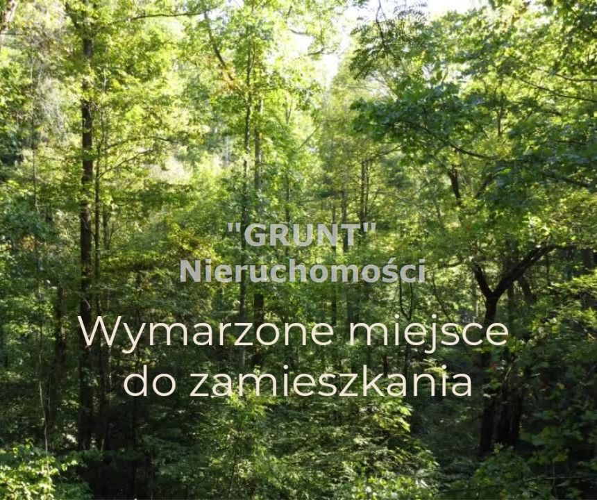 Wymarzone miejsce do zamieszkania miniaturka 4