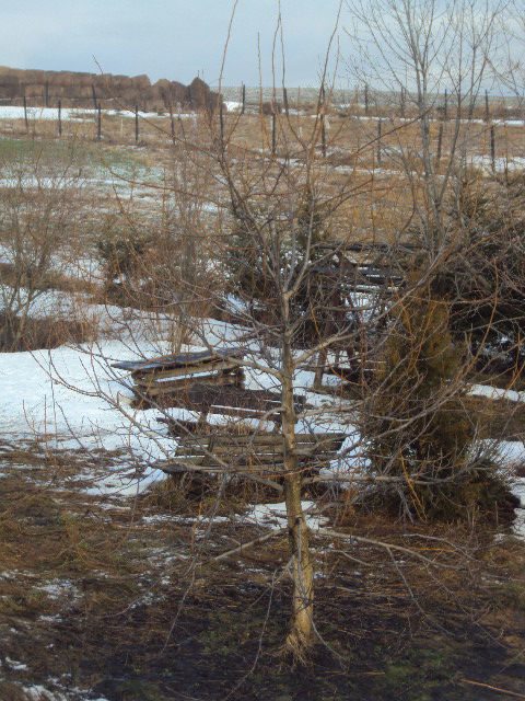 Niedźwiedzica, 350 000 zł, 500 m2, do wykończenia miniaturka 4