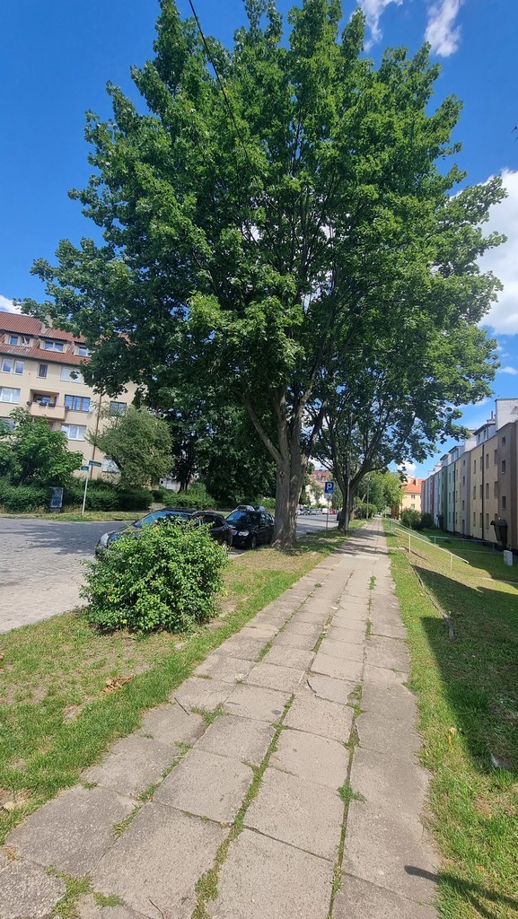 2 pokoje spokojna lokalizacja miniaturka 12