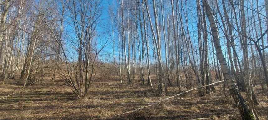 Działka budowlana z planem, Różnowo gm. Dywity miniaturka 8