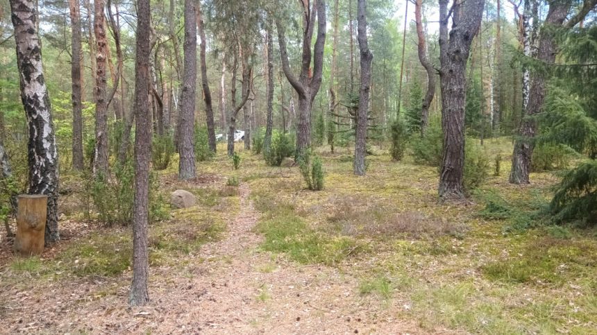 Popowo-Letnisko, 310 000 zł, 60 m2, z drewna miniaturka 20