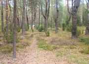 Popowo-Letnisko, 310 000 zł, 60 m2, z drewna miniaturka 20