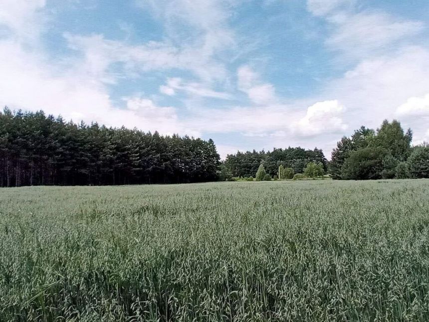 Działki budowlane gmina Lisia Góra miniaturka 4