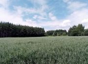 Działki budowlane gmina Lisia Góra miniaturka 4